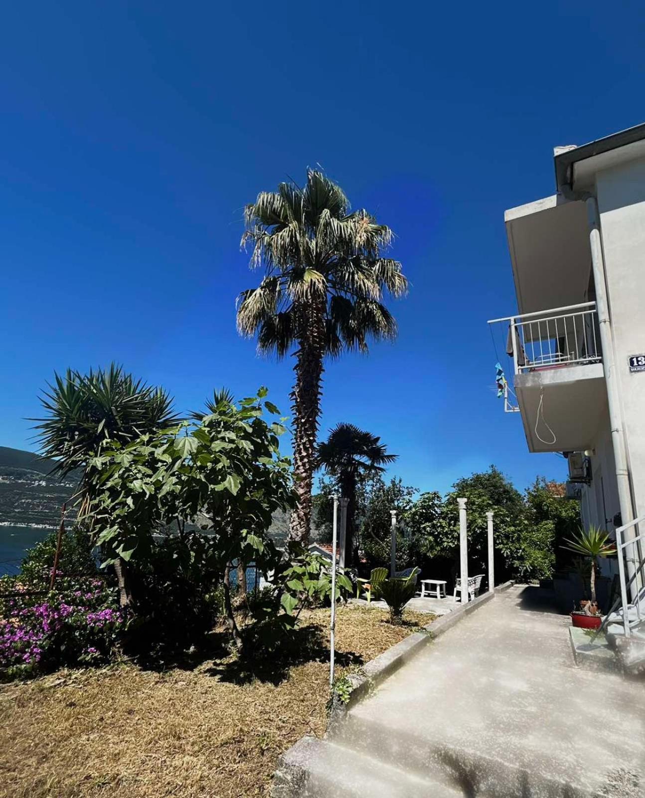 Apartments Maya Herceg Novi Exterior photo