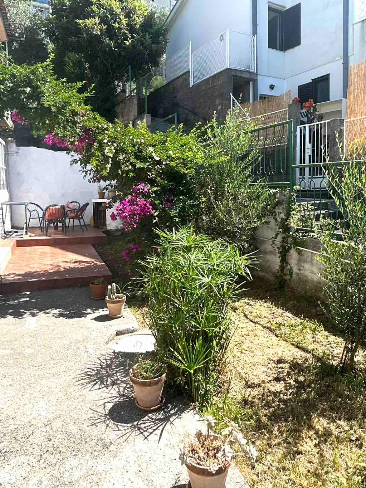 Apartments Maya Herceg Novi Exterior photo