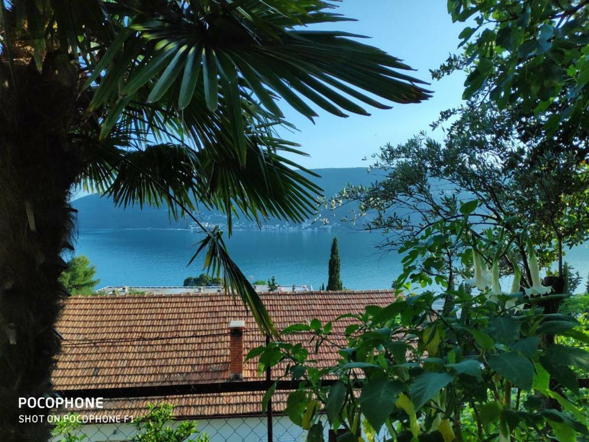 Apartments Maya Herceg Novi Exterior photo